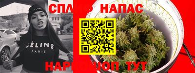 трава Славянск-на-Кубани