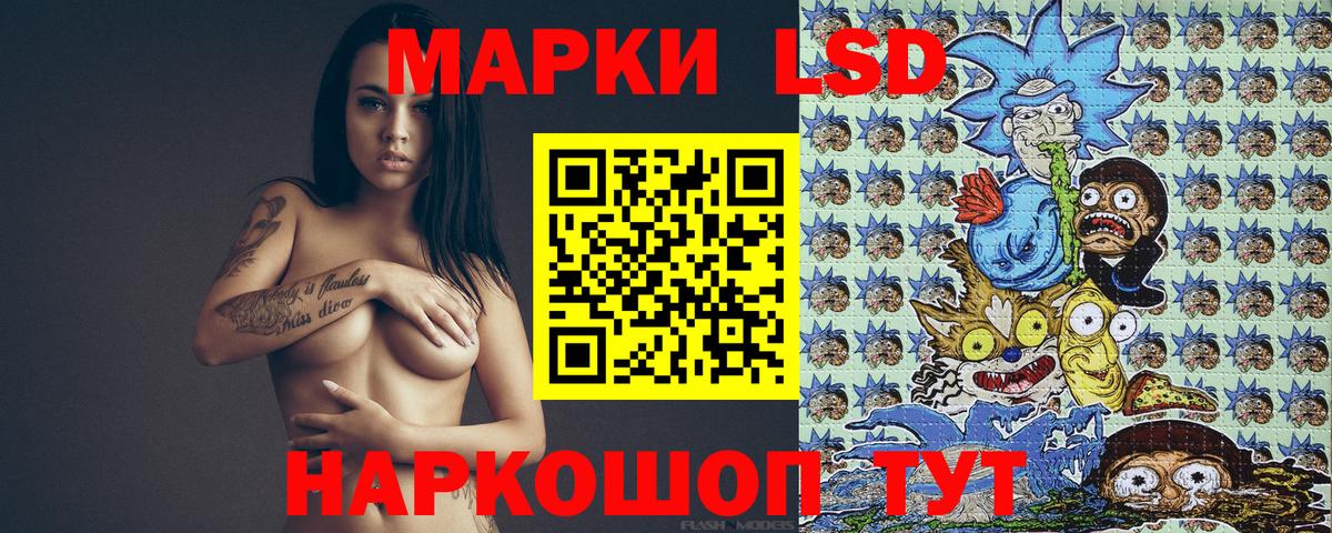 Псилоцибиновые грибы Печора