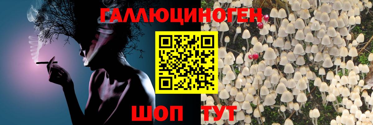 Галлюциногенные грибы Psilocybine cubensis  Вход с VPN  Печора  Галлюциногенные грибы Magic Shrooms 
